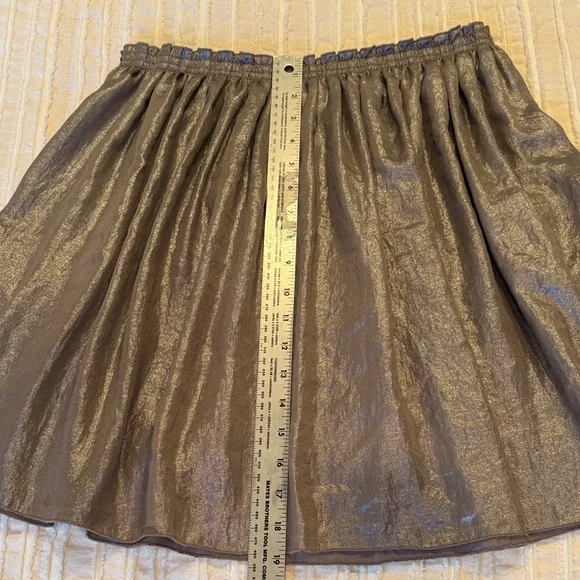 Corey Lynn Calter Shiny Stretch Metallic Silver Pewter A-Line Skirt w pockets- S - Picture 10 of 10